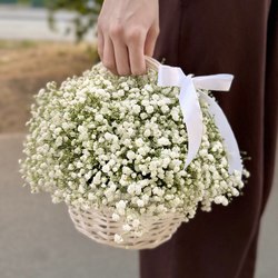 Гипсофила Гипсофила