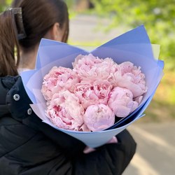 Пионы
