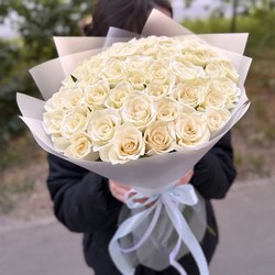 Розы