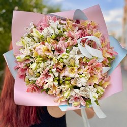 Альстромерия