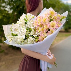 Альстромерия Альстромерия