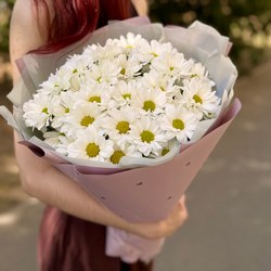 Хризантемы